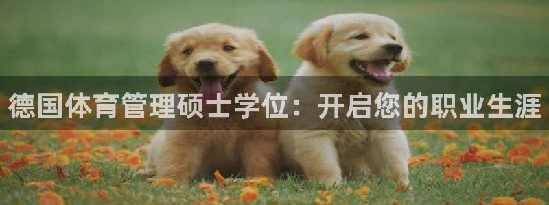 必一体育app下载最