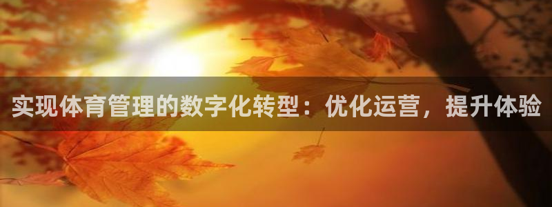 b体育必一下载：实现