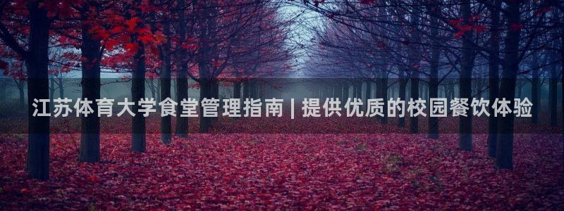 必一体育运动平台官网