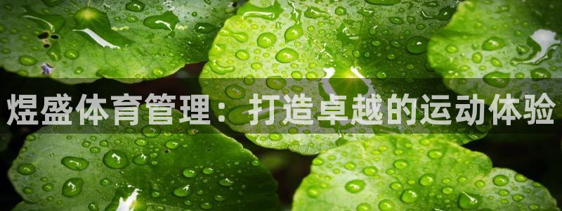 必一体育是啥：煜盛体