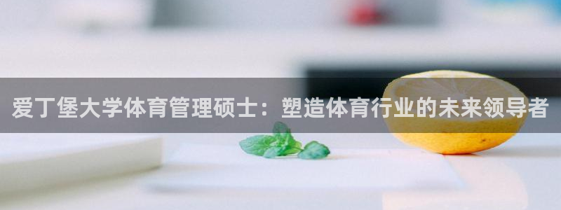 必一体育官方网站入口
