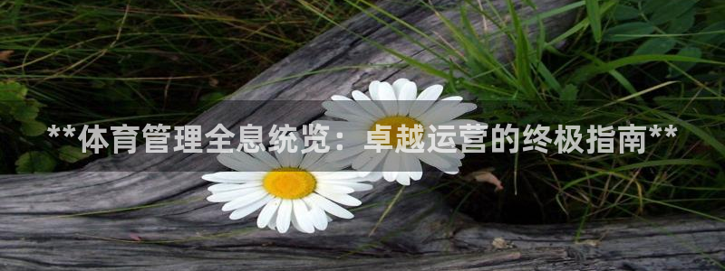 必一体育登入：**体