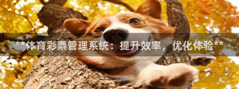 必一体育登录：**体