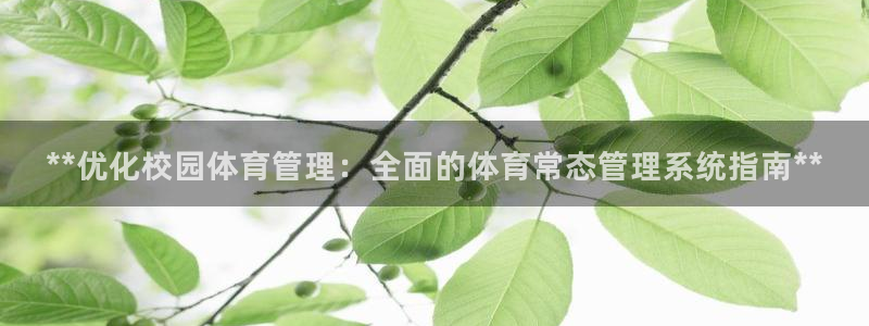 必一体育平台：**优