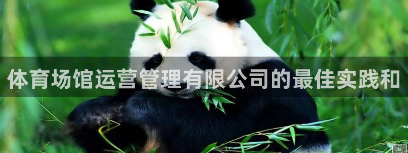 必一体育网站：体育场