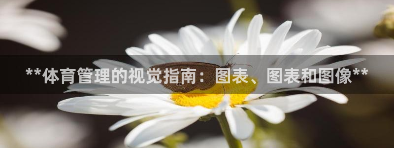 必一运动官网：**体