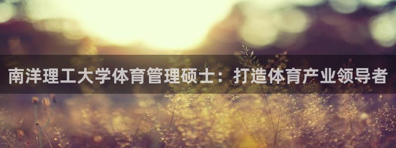 必一体育app官方网