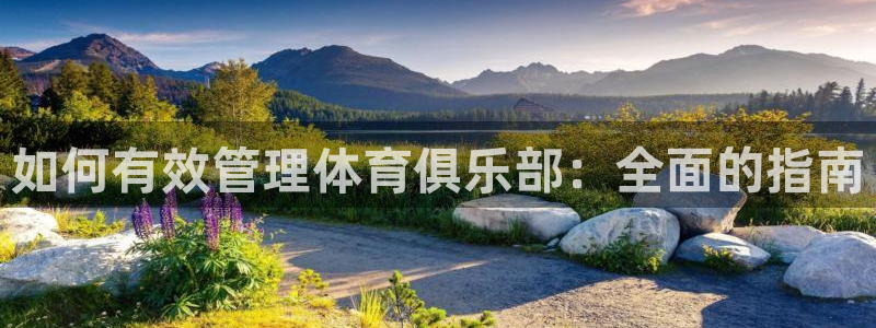 必一体育app官方网