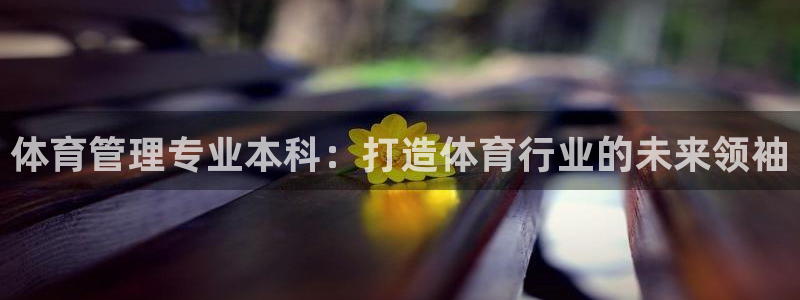 必一体育sport下