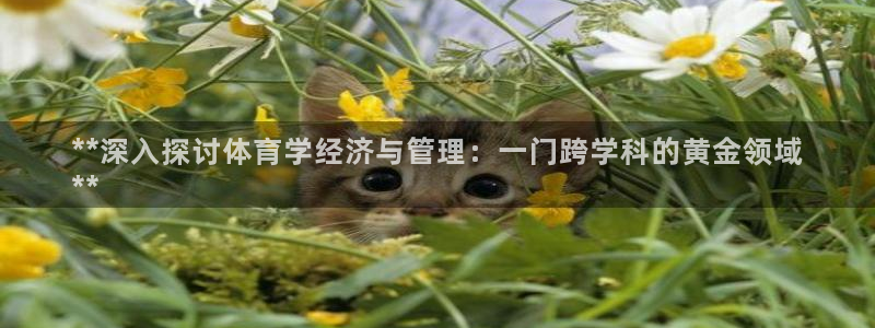 必一体育在线官网：*