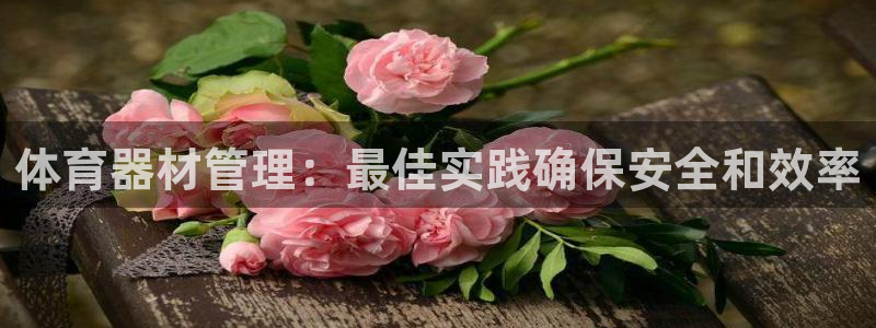 必一体育全站在线登录