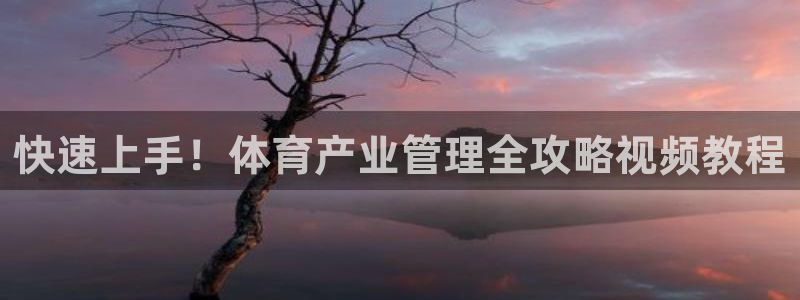 必一体育网页登陆：快