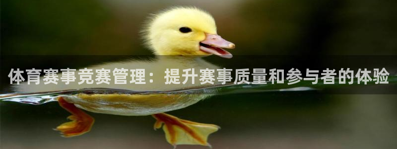 必一体育官方入口：体