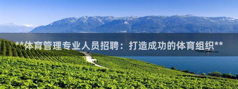 必一体育app平台下