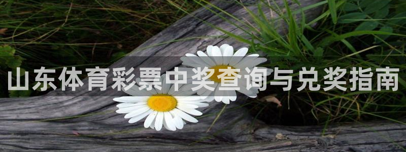 必一运动·(B-Sp
