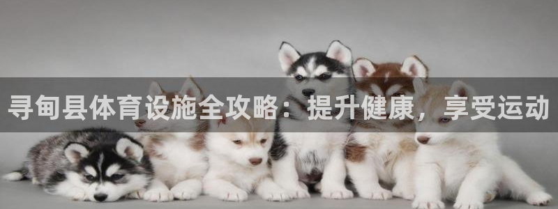 必一体育官方入口：寻