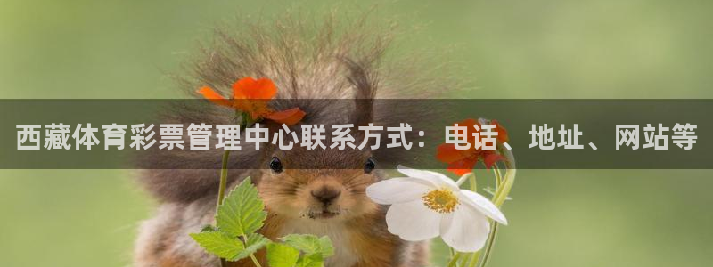 必十二和必一的副作用