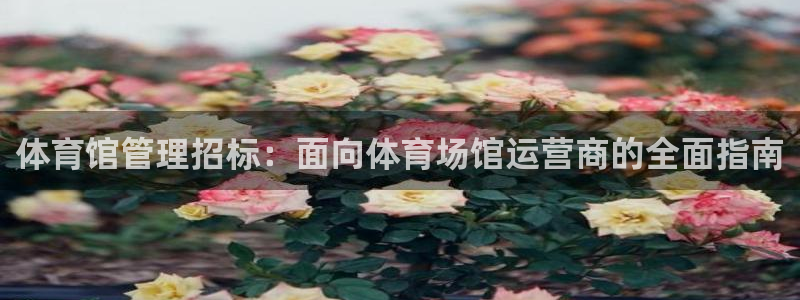 必一体育网页：体育馆