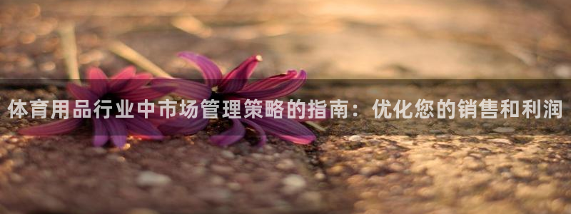 必一体育登录APP下