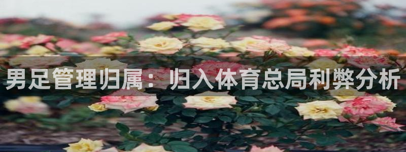 必一体育官方入口：男