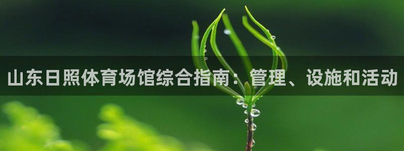 必一体育app下载装