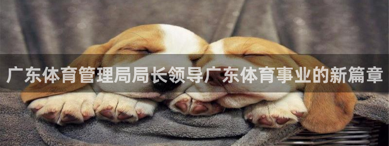 必一体育登入：广东体
