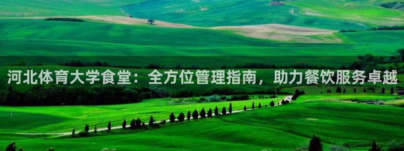 必一运动官网入口：河