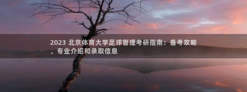必一体育手机下载：2