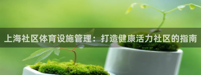 必一体育bsport