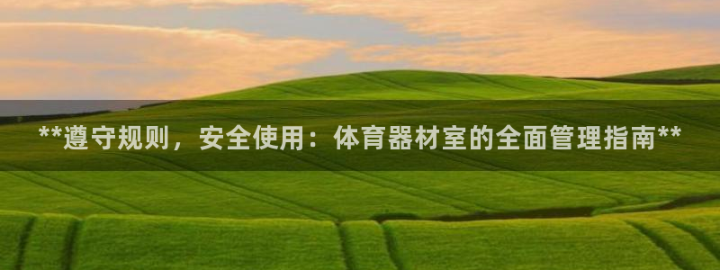必一体育网页登录版官