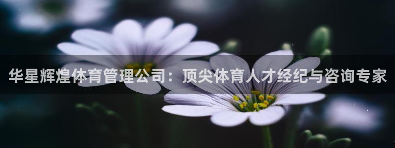 必一体育官网网址：华