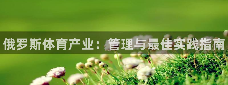 必一体育app官方正