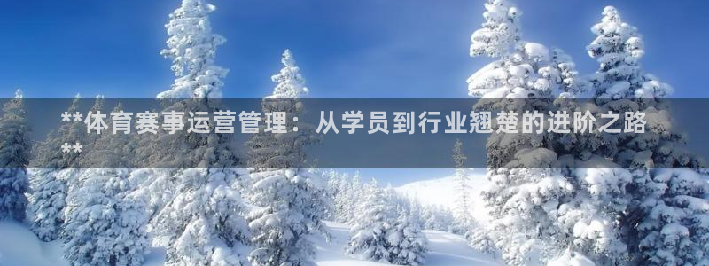 必一体育官方网站入口