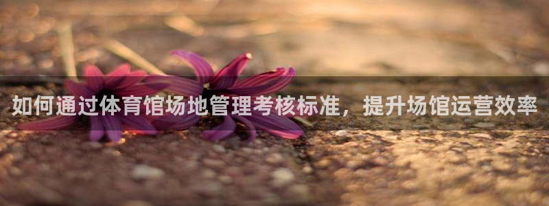 必一运动体：如何通过