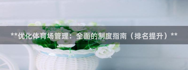 必一体育app官方下