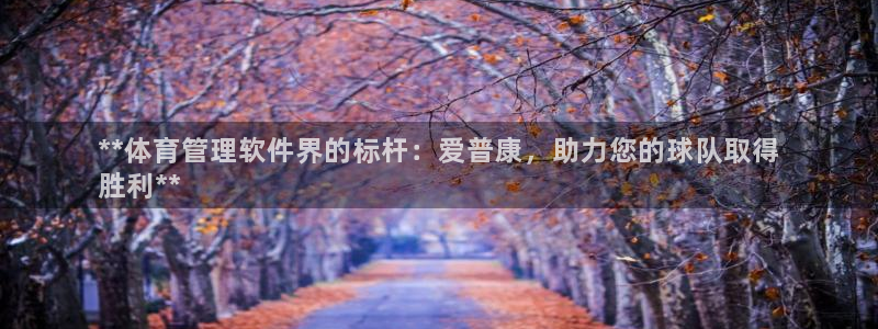 必一体育网页登录版官