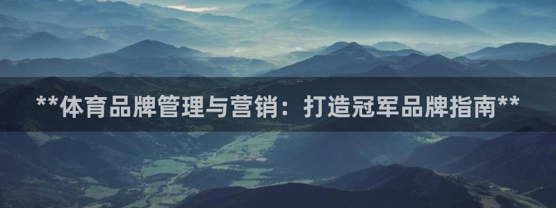 必一体育sportB