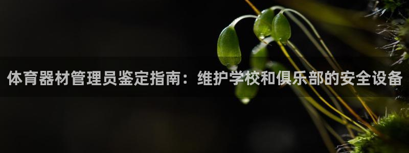 必一体育下载入口：体