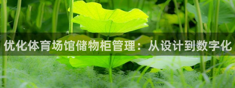 必一体育游戏玩法：优