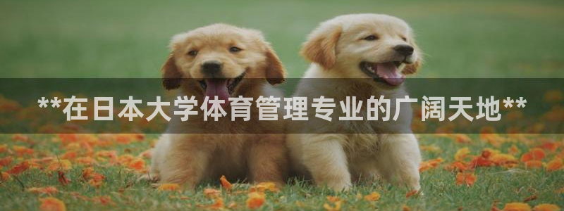 必一体育下载app：