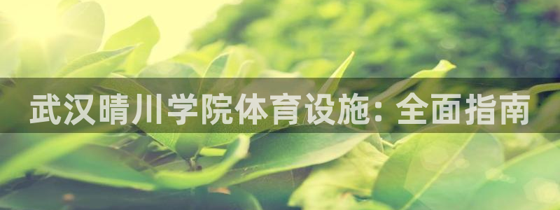 必一体育APP下载安