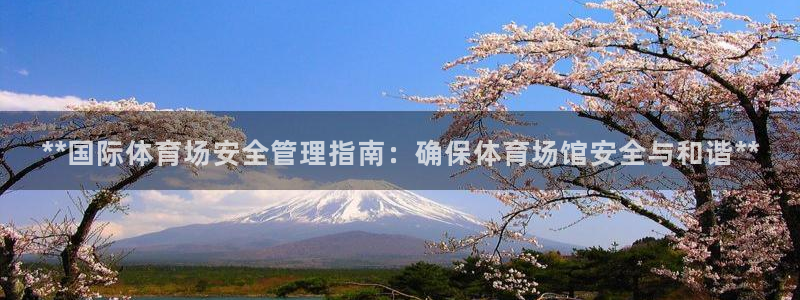 必一体育bsport