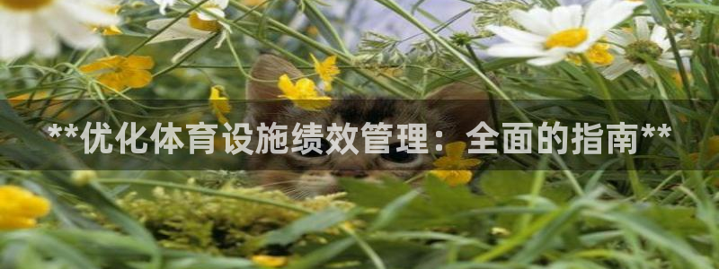 必一体育：**优化体