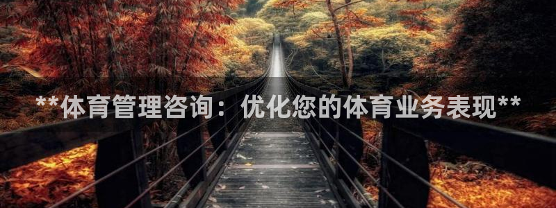 必一运动体育官网下载
