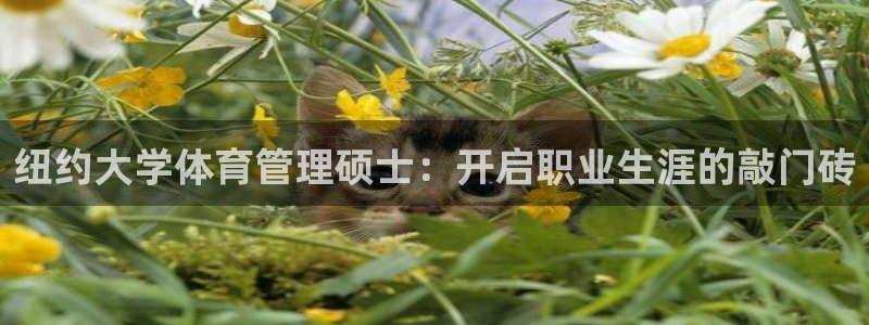 必一体育全站在线登录