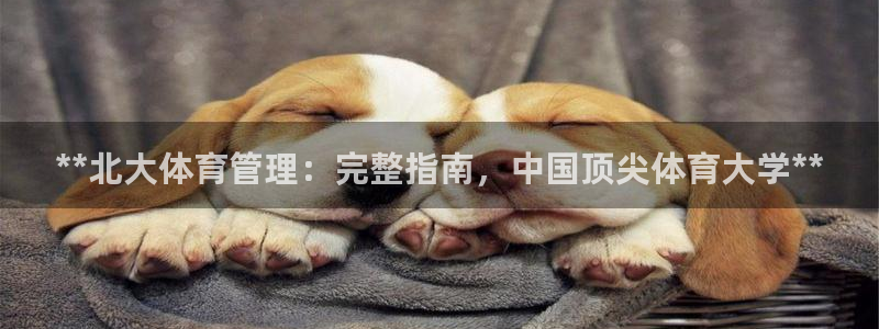 必一体育秀给网：**