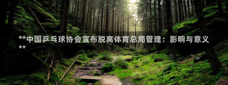 必一体育bsport