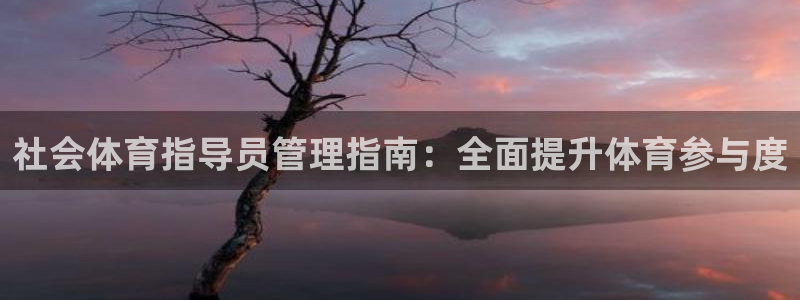 必一体育登录入口AP