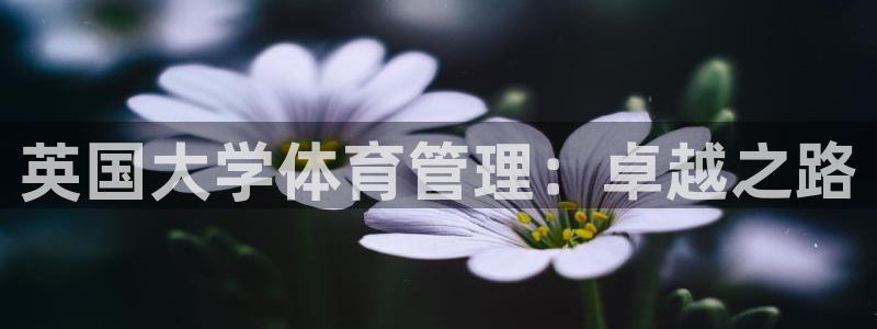 必十二和必一的副作用
