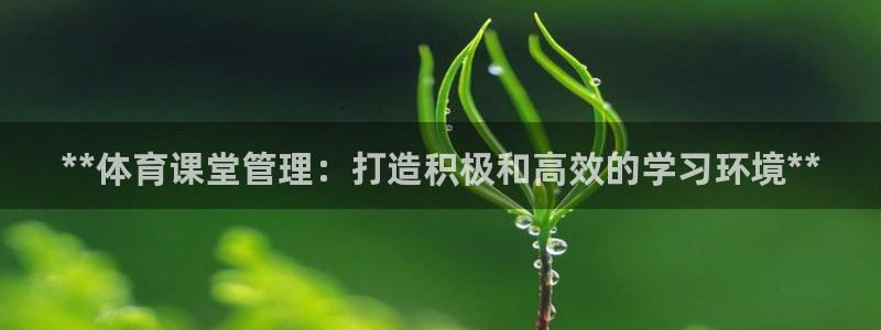 必一体育官方app下
